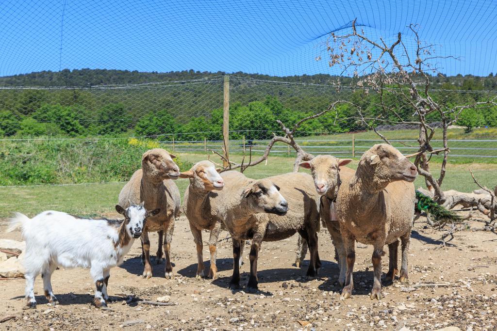 Вилла Lou Mas Li Pitchoun "Le Luberon " Горд Экстерьер фото