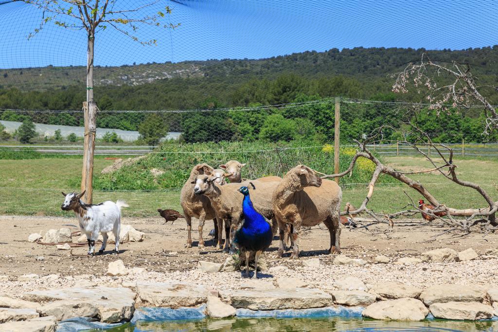 Вилла Lou Mas Li Pitchoun "Le Luberon " Горд Экстерьер фото